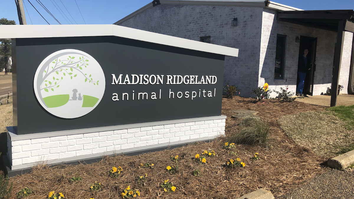 Madison Ridgeland Animal Hospital