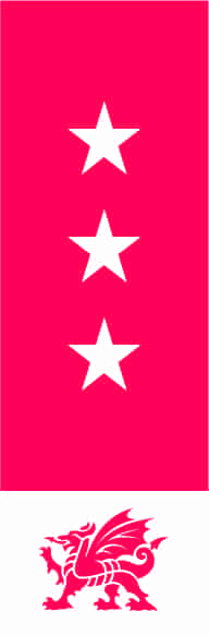 Gwesty'r Marine Hotel & Spa logo