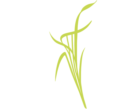 Sugaring Cane UK & Ireland logo