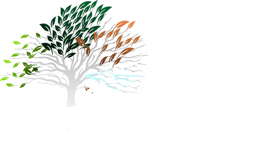 All Seasons Family Health Care logo