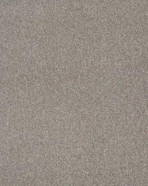 Luxury Carpet photo 5