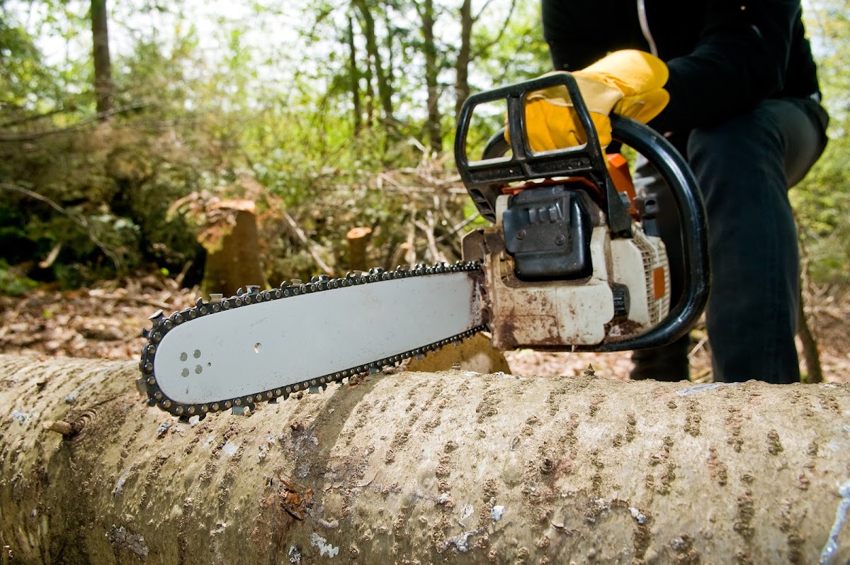 Diven Tree Services