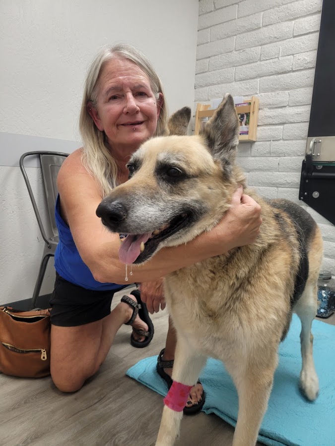Desert Hills Animal Hospital