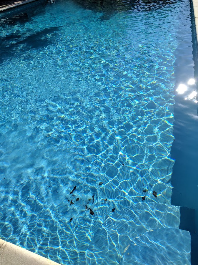 Paradise Pools