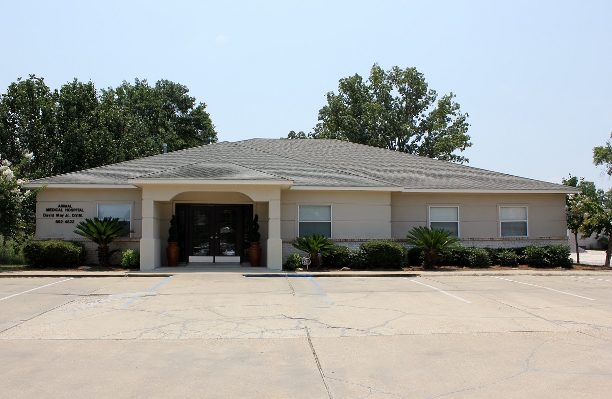 Animal Medical Hospital