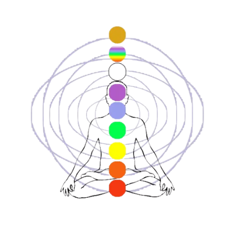 Chakra Numerology System logo