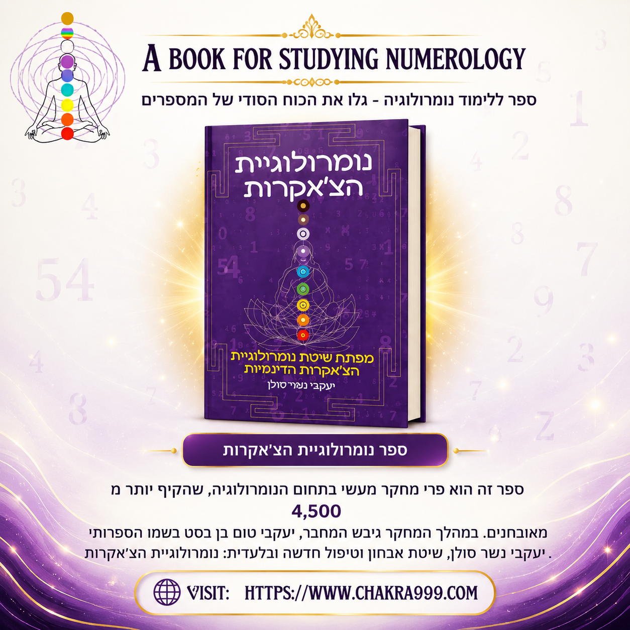 Chakra Numerology System photo 2