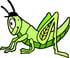 Grasshopper Landscaping & Maintenance logo