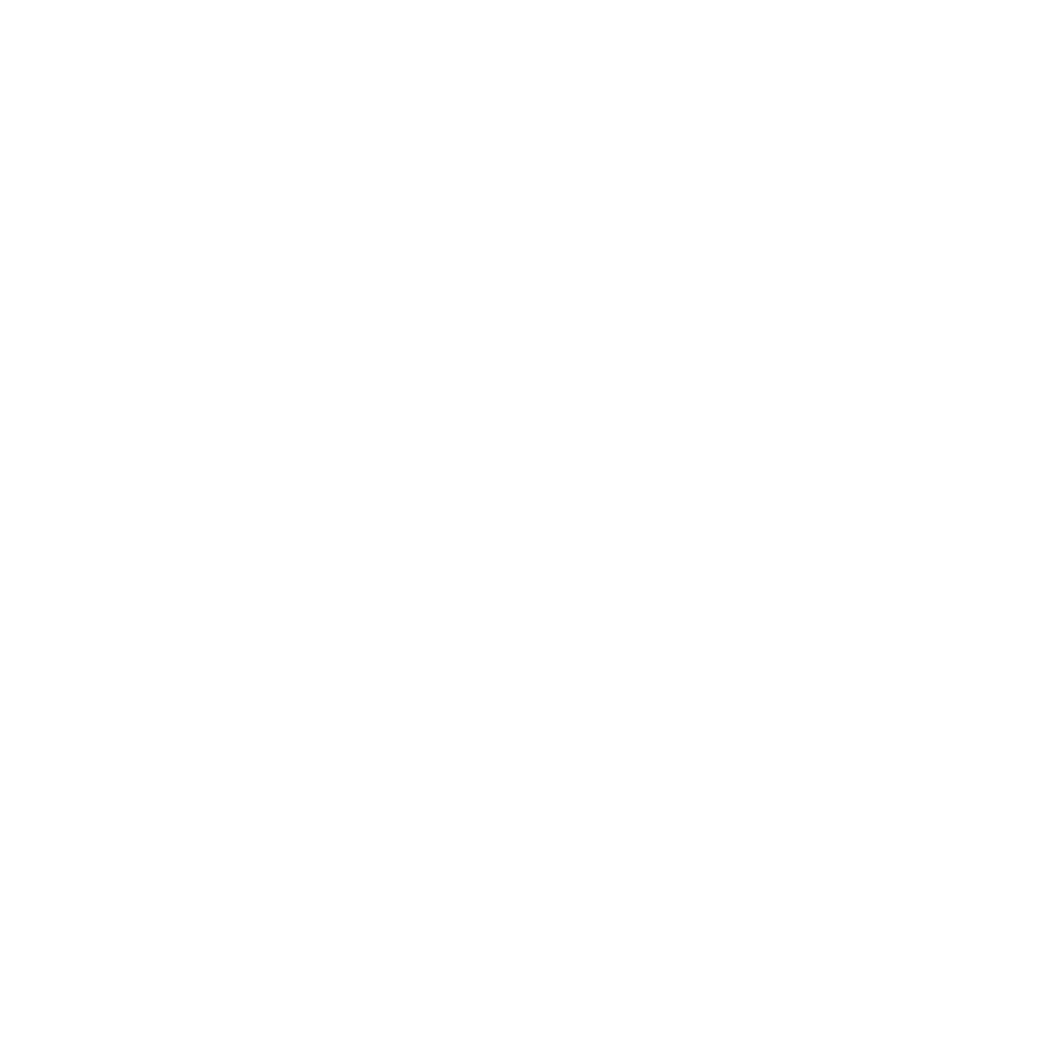 U. S. Security Systems Inc. logo