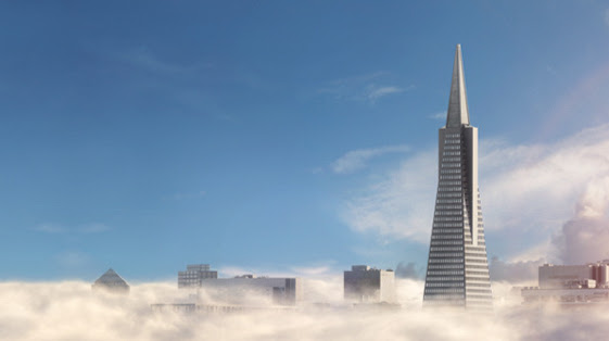 Transamerican Wholesale