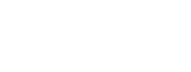 The Wellness Aesthetic logo