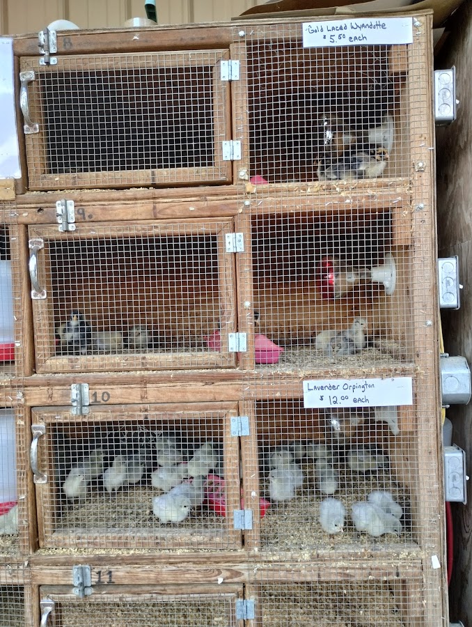 C & R Feed & Supply