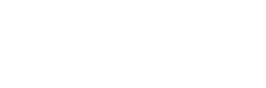 Duo Consulting logo