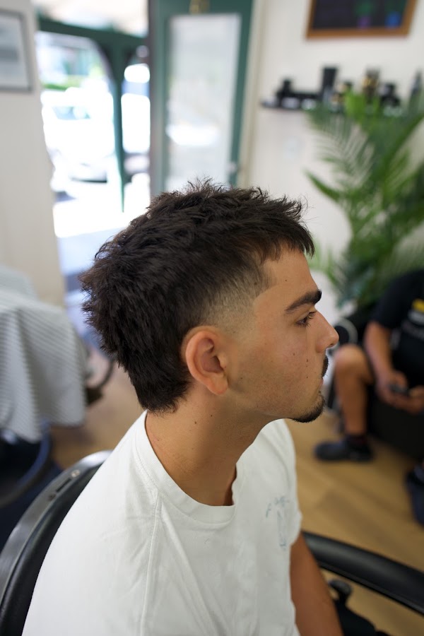 Hi-Definition Barbershop Alamo/Danville