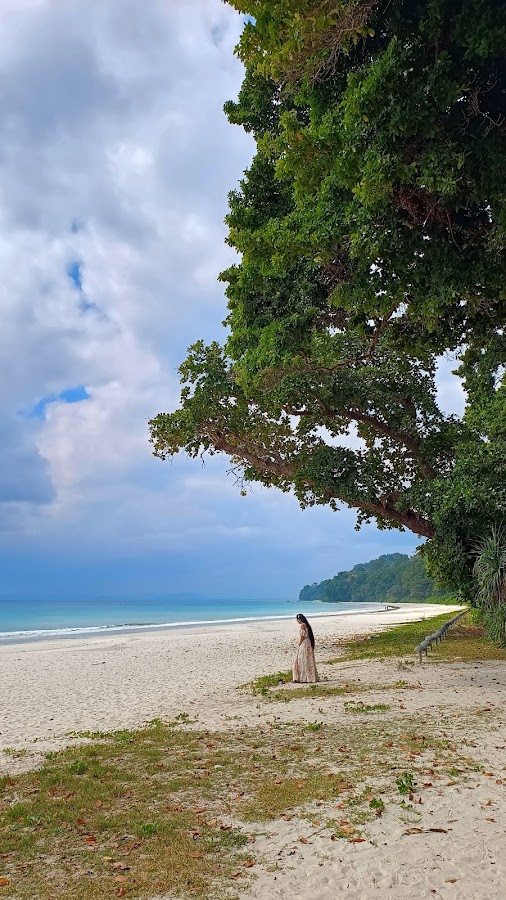 ANDAMAN BAY's PEARL TOURS AND TRAVELS| BEST TOURS & TRAVELS