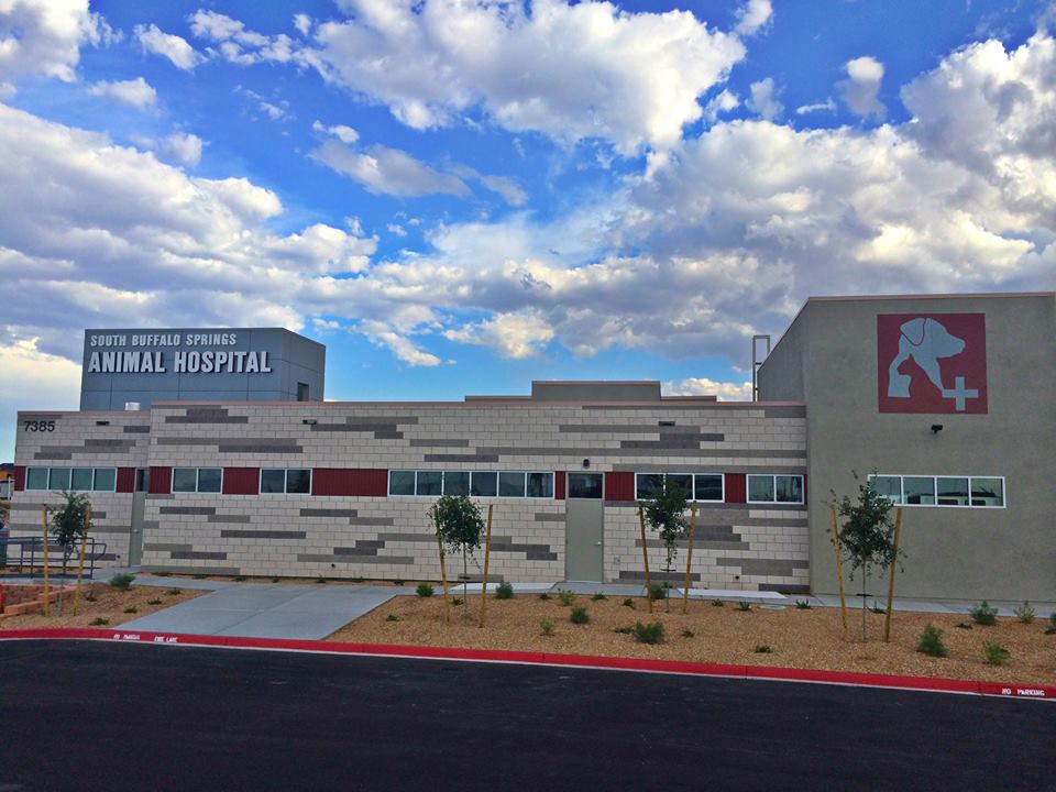 South Buffalo Springs Animal Hospital