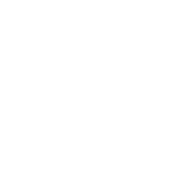 Ginger Energy logo