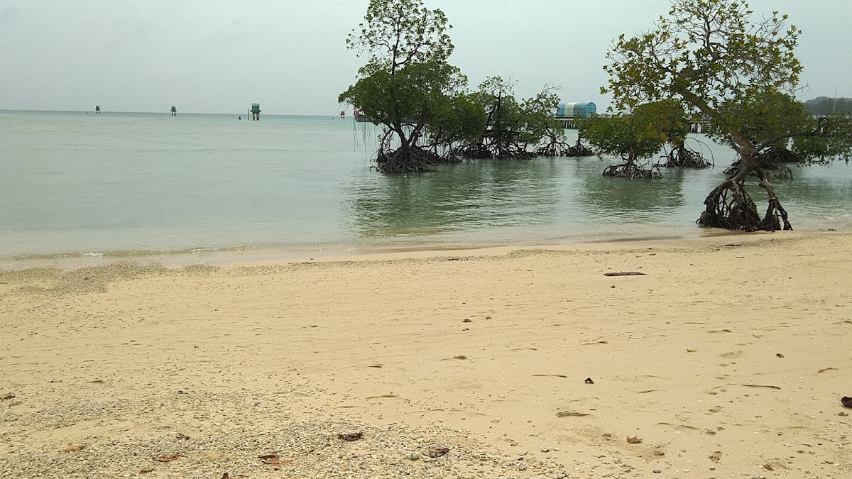 Halder Tour & Travels