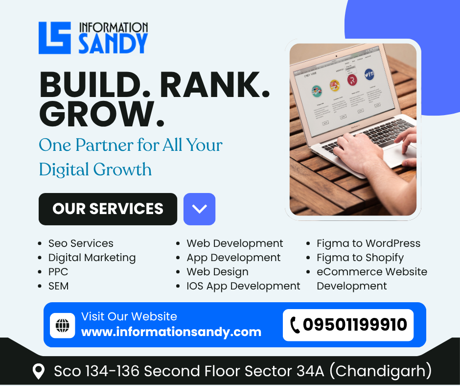 INFORMATION SANDY - Digital Marketing Company & SEO Services in Chandigarh