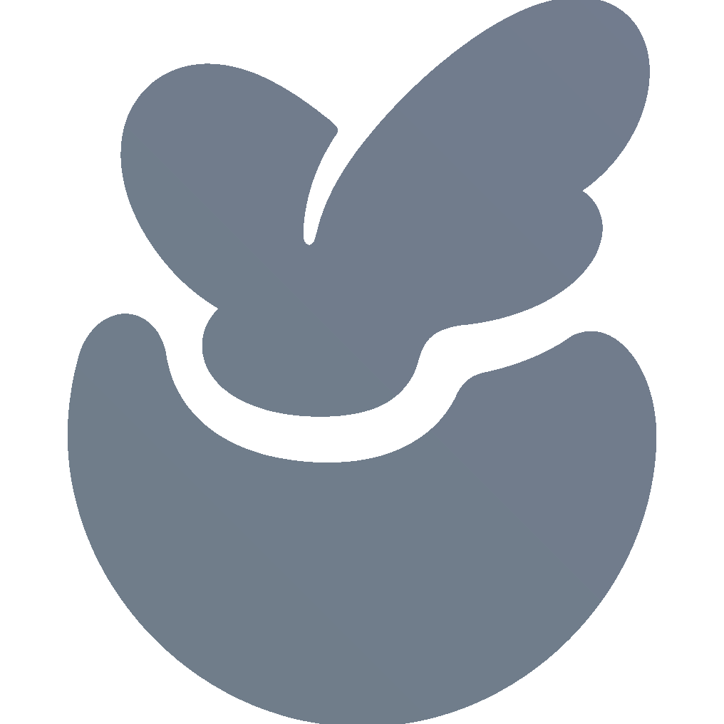 Home Angels Caregivers logo