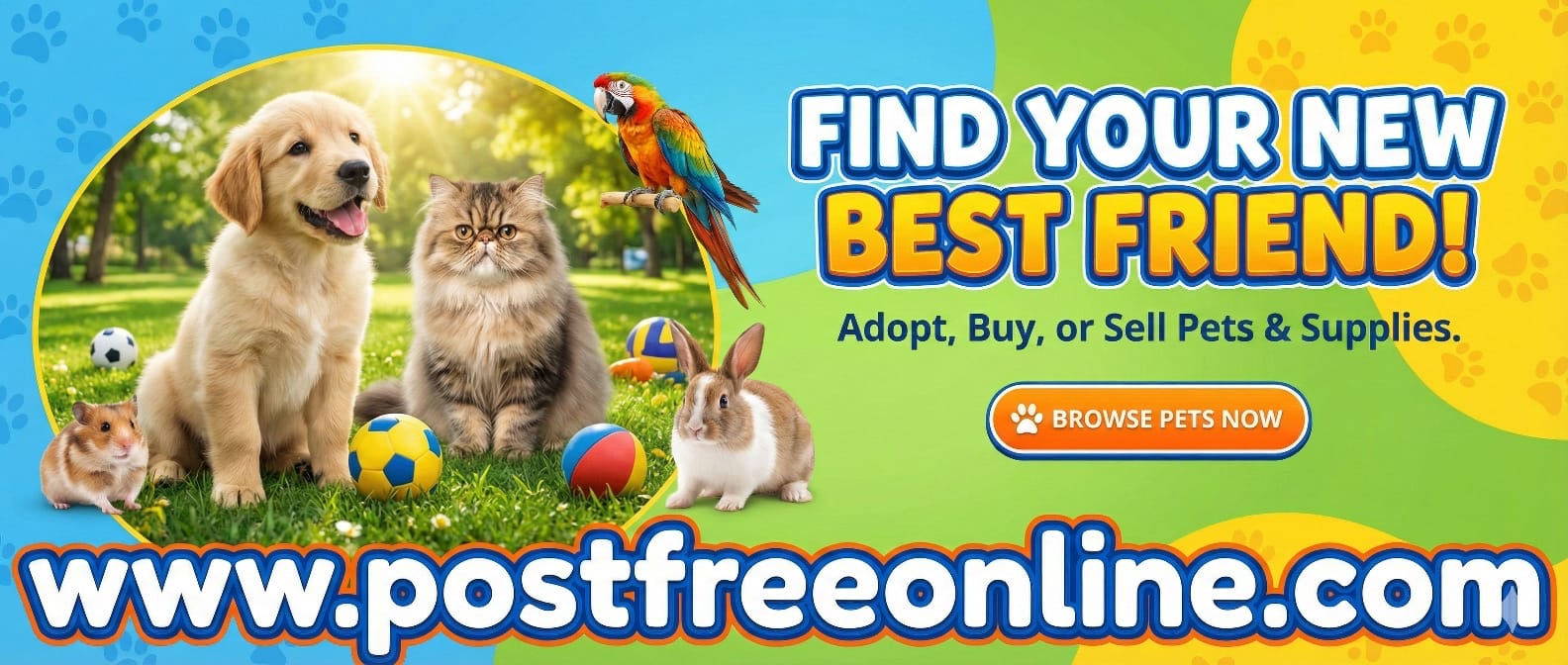 PostFreeOnline.Com photo 34