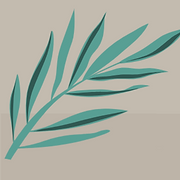 Natural Contours Aesthetic Clinic logo
