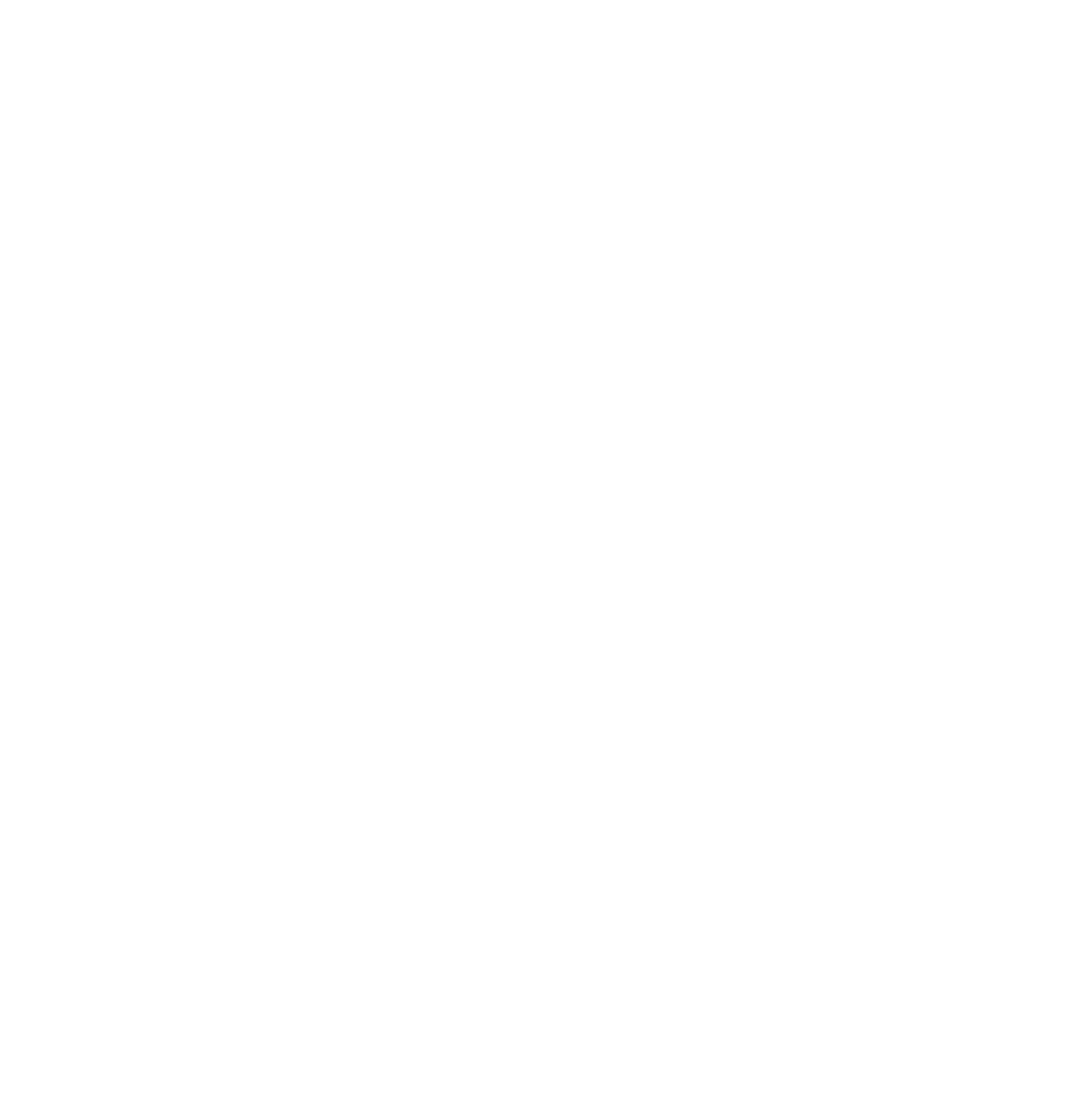 tomsheehan worldwide logo