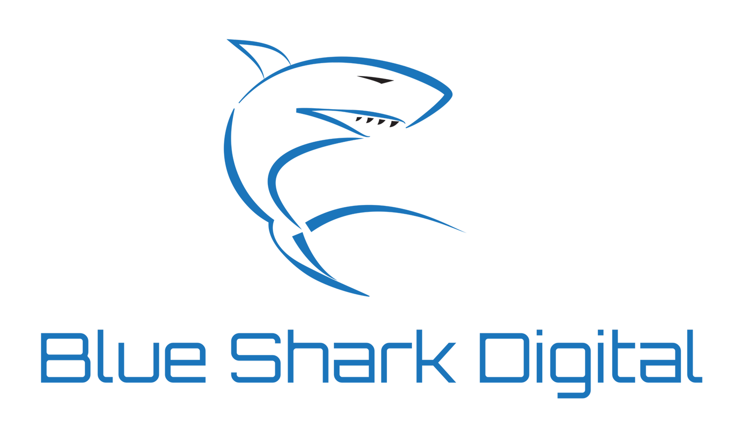 Blue Shark Digital logo