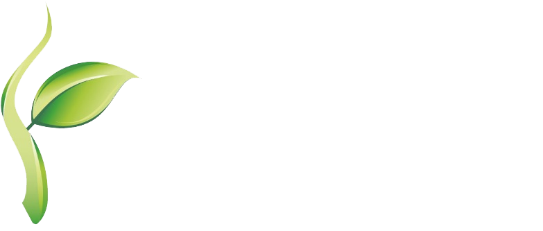 Beanstalk Marketing logo