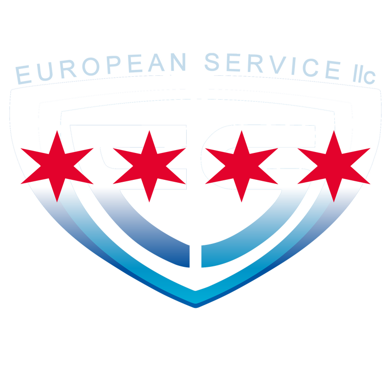 European Service LLC.: In Home Care Center logo