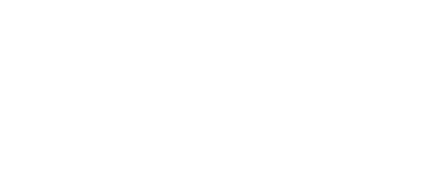 Rise and Reveal logo
