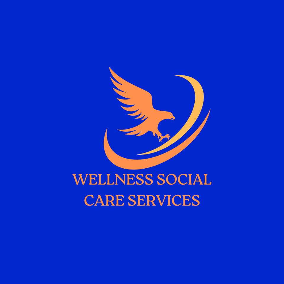 Wellness Social Care Services Ltd logo