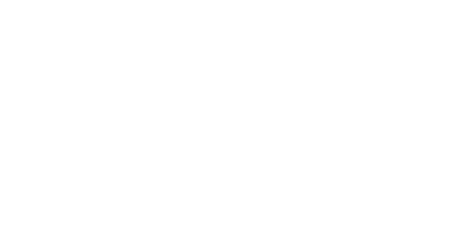 ICON International Inc logo