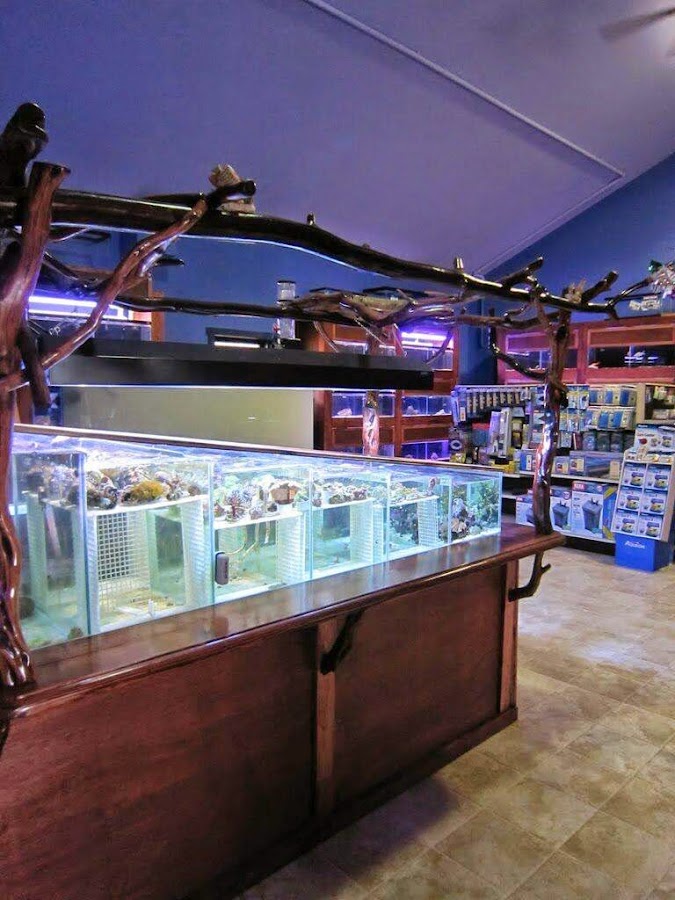 Crystal Clear Aquariums