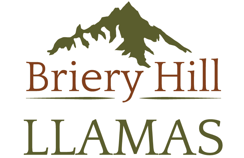 Briery Hill Llamas logo