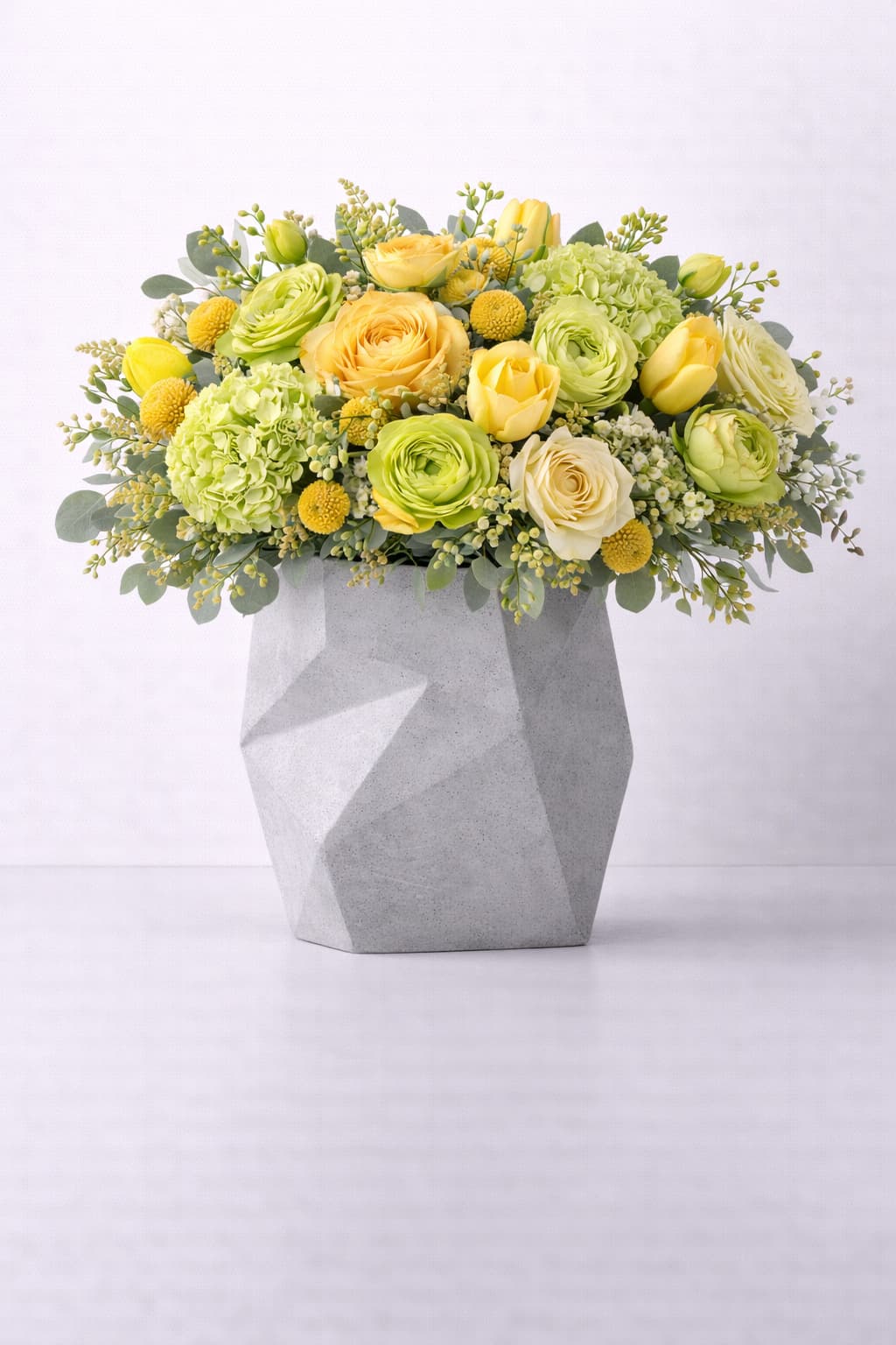 Aurelia Welcome Bloom