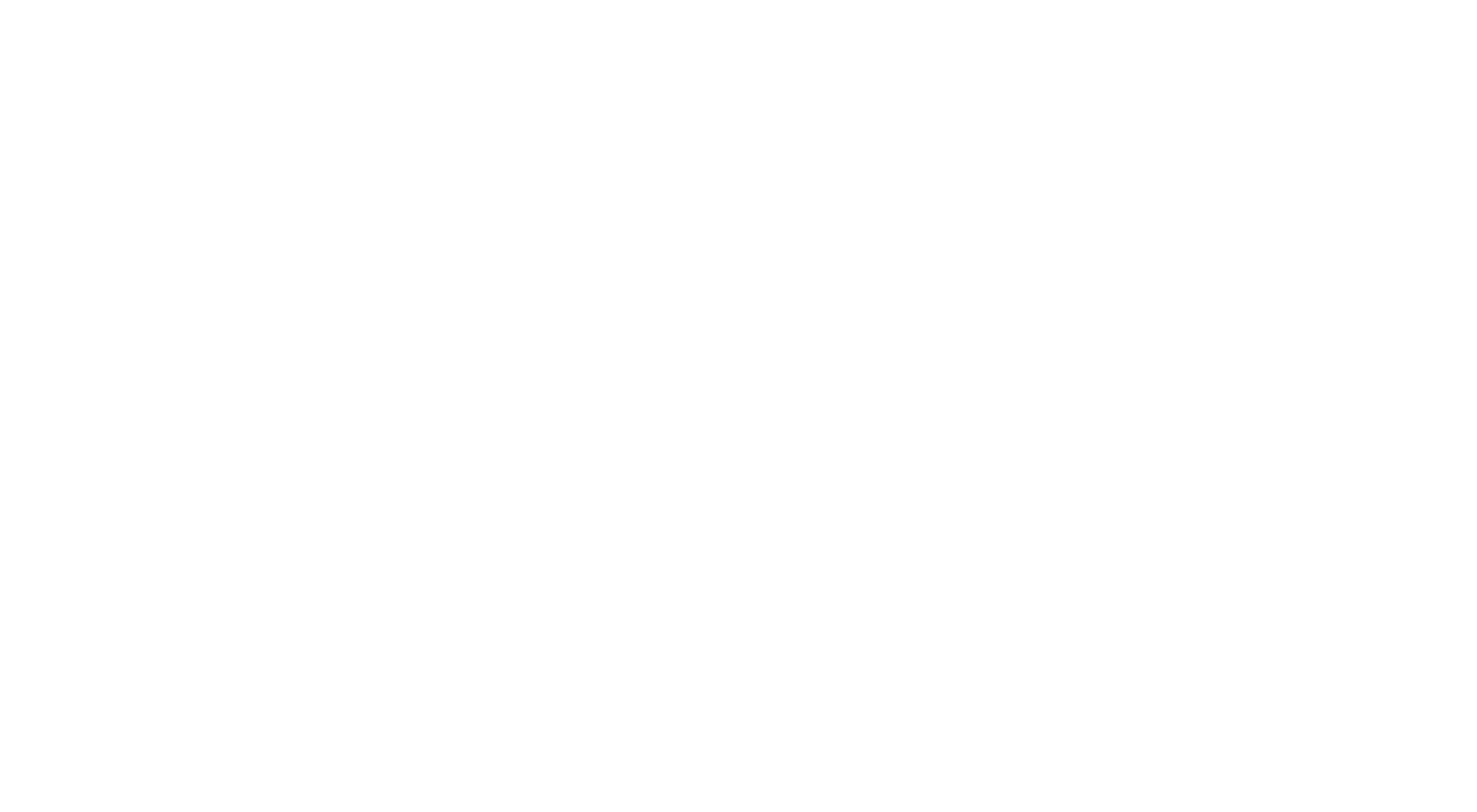 Denali Transportation Service logo