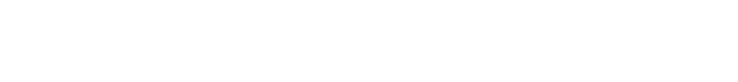Direct Auto Insurance logo