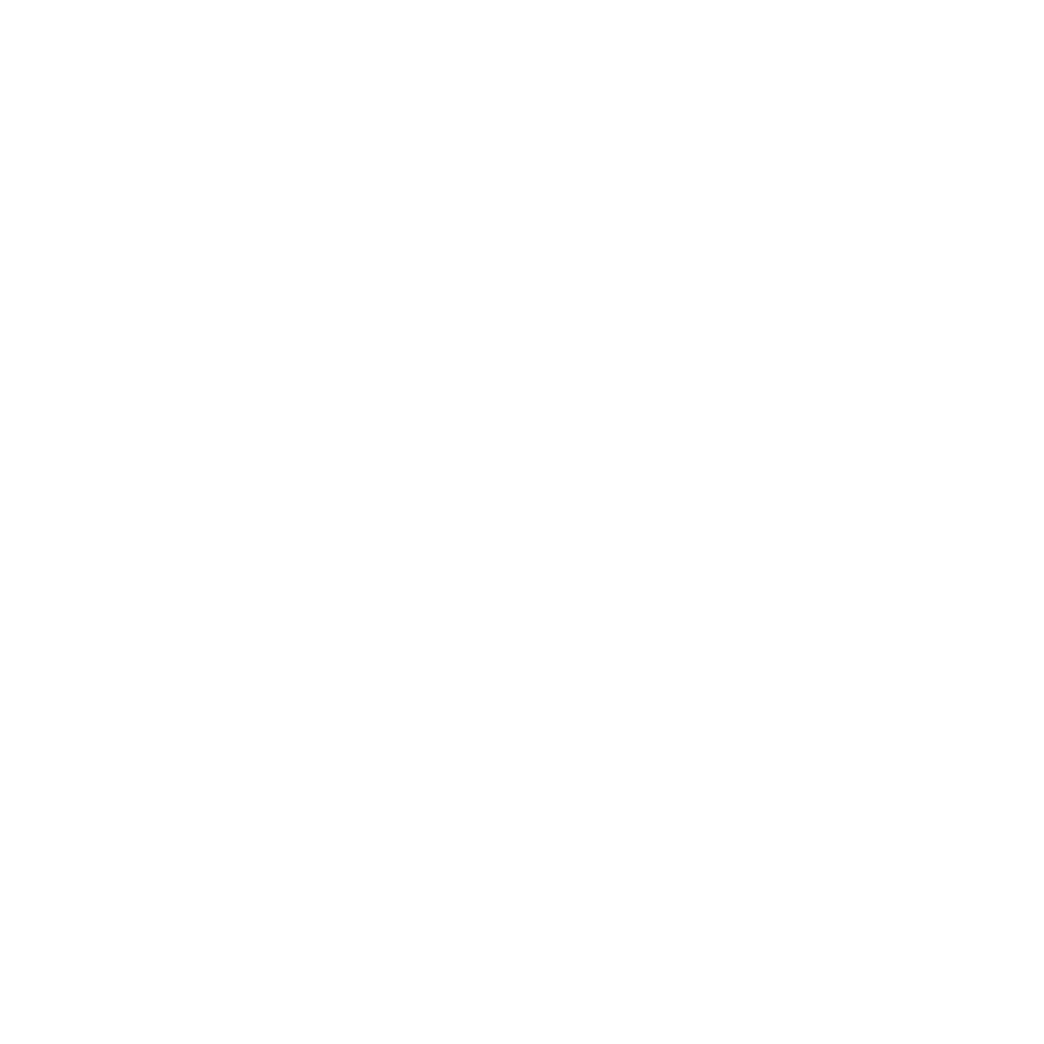 Beluga Air logo