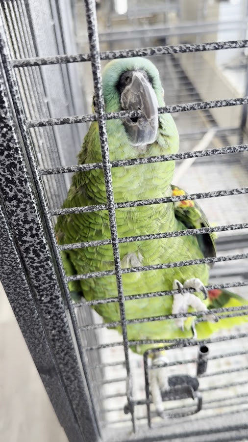 House of Exotics and more