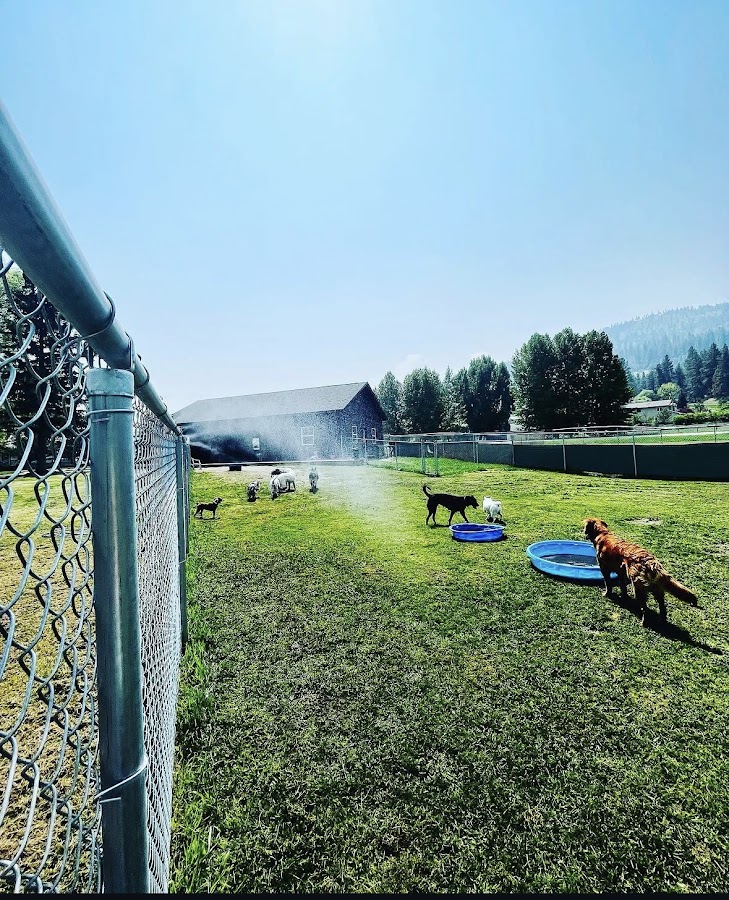 Furever Friends Doggy Daycare and Boarding