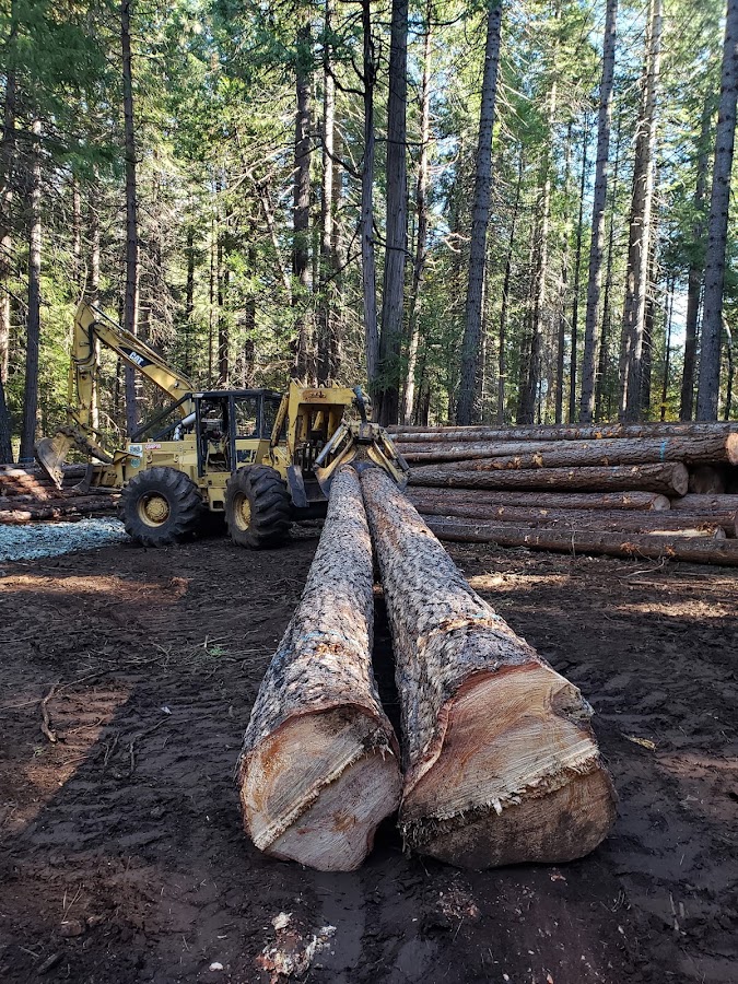 A&F Enterprises Logging & Excavating