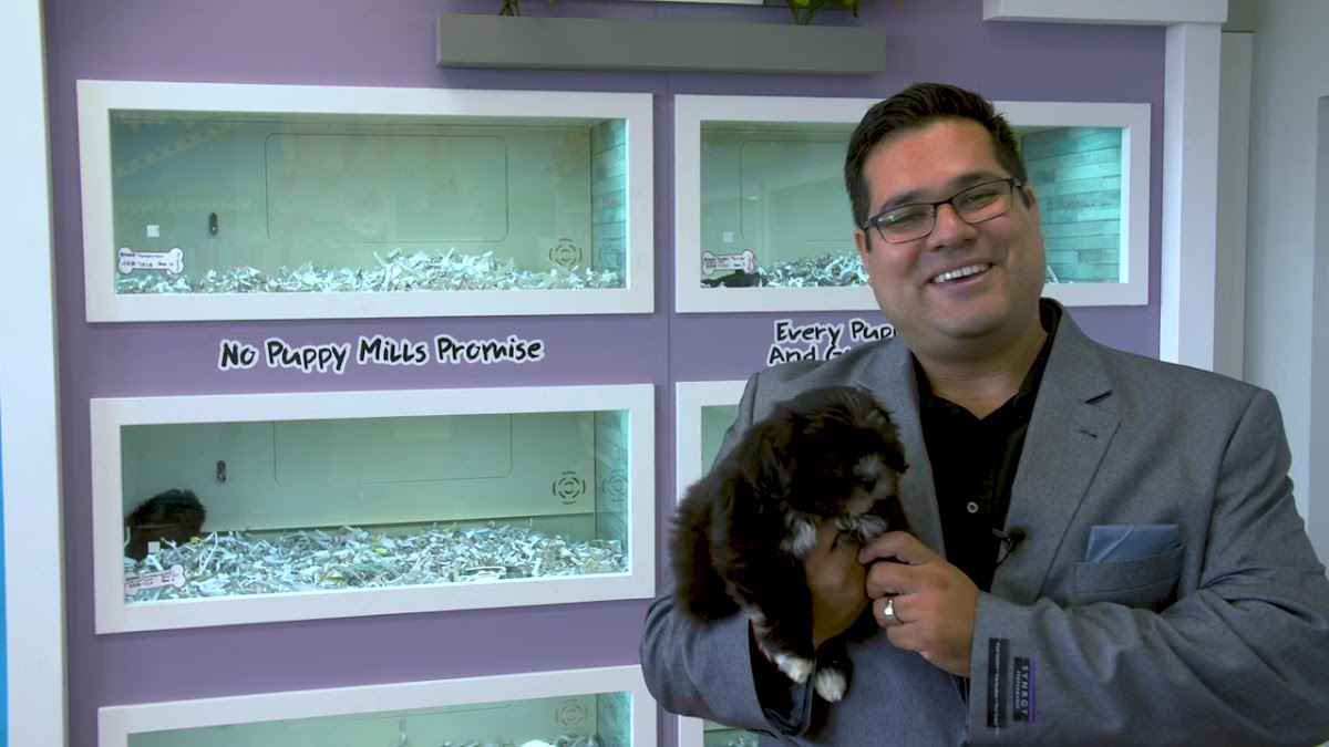 The Puppy Store Henderson