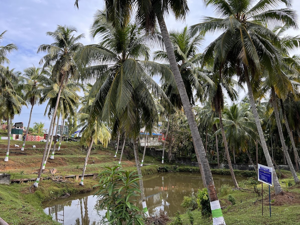 Central Island Agricultural Research Institute