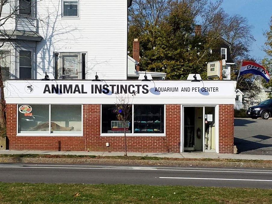 Animal Instincts Aquarium & Pet Center