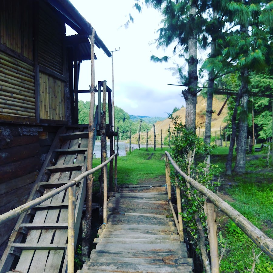 Ziro tour & travel
