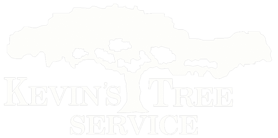 LLC logo