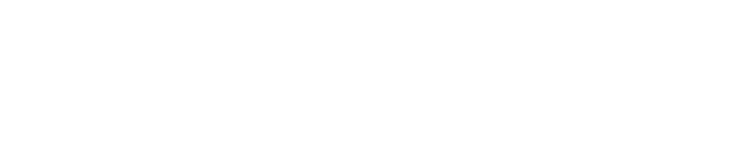 Chloe Nelkin Consulting logo