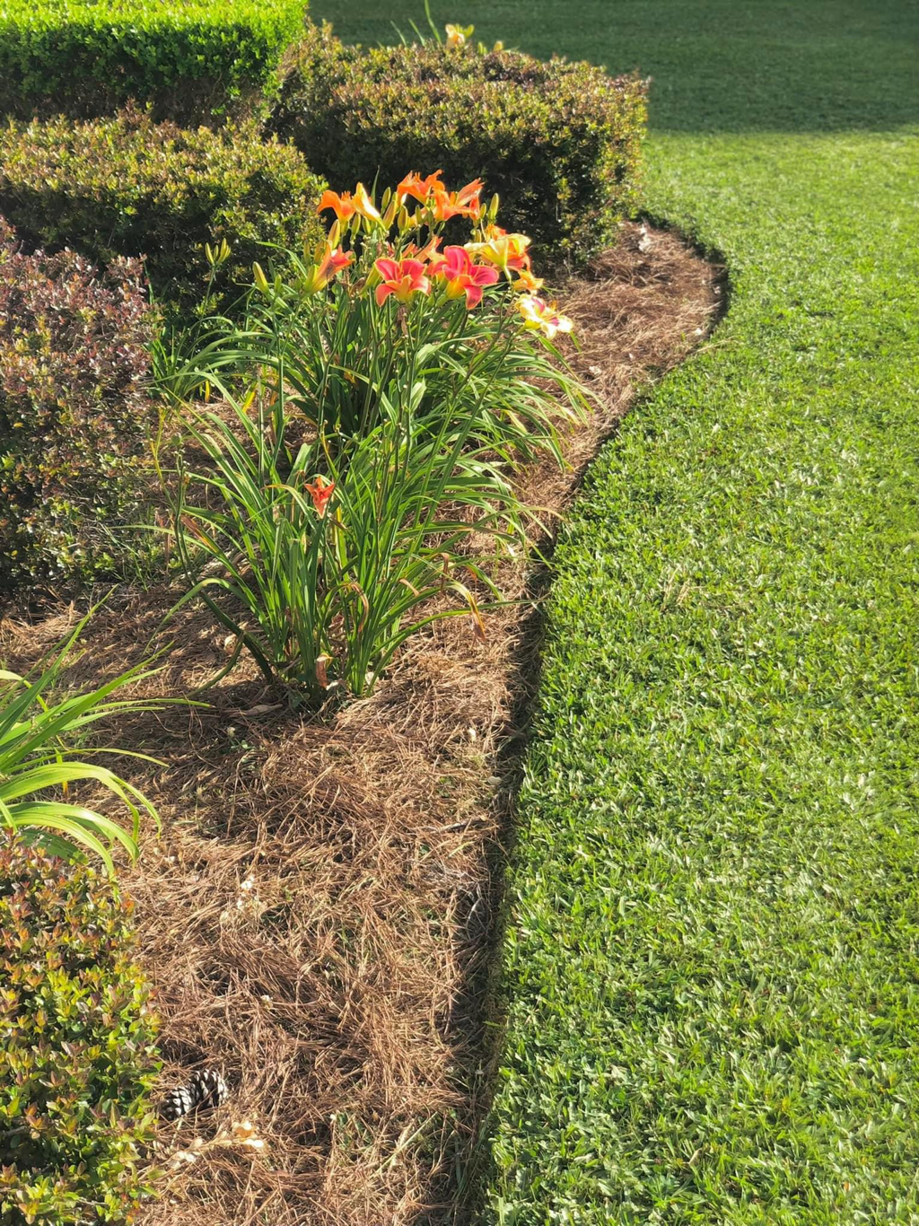 Murphy Home and Lawn logo