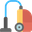 Early Bird Carpet Cleaning logo